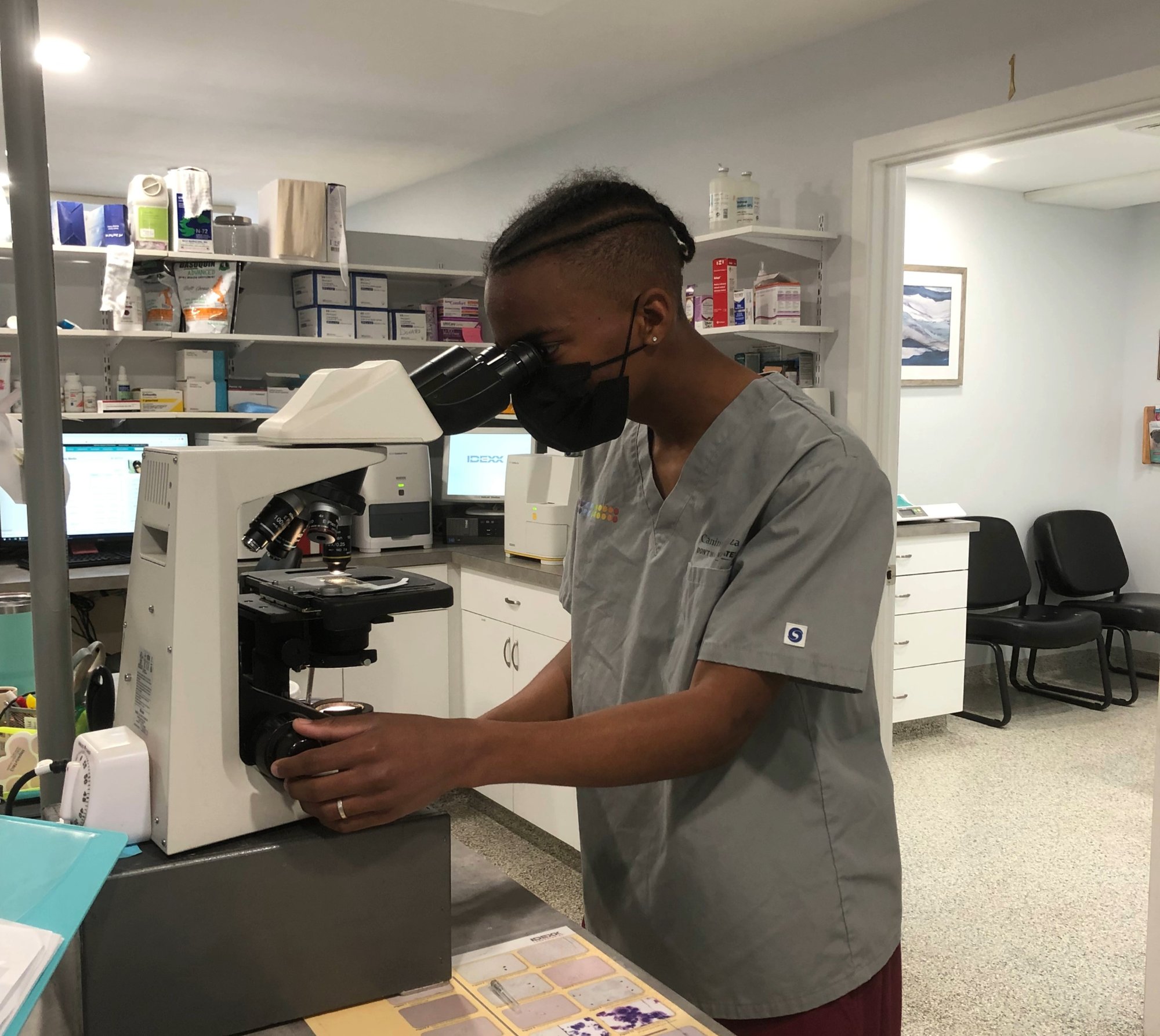 Dante using a microscope