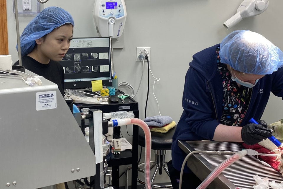 A student wearing scrubs in a surgery room.